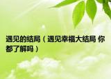 遇见的结局（遇见幸福大结局 你都了解吗）