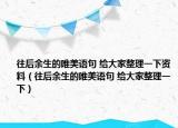 往后余生的唯美语句 给大家整理一下资料（往后余生的唯美语句 给大家整理一下）