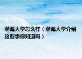 渤海大学怎么样（渤海大学介绍 这些事你知道吗）
