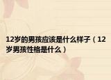 12岁的男孩应该是什么样子（12岁男孩性格是什么）