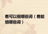 着可以组哪些词（着能组哪些词）