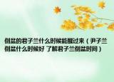 倒盆的君子兰什么时候能醒过来（尹子兰倒盆什么时候好 了解君子兰倒盆时间）