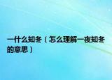 一什么知冬（怎么理解一夜知冬的意思）