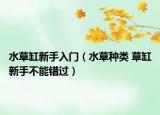 水草缸新手入门（水草种类 草缸新手不能错过）