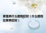 家里养什么植物旺财（什么植物在家养旺财）