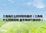 三角梅什么时间剪枝最好（三角梅什么时候剪枝 最常用技巧告诉你）