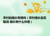 农村的组长有用吗（农村组长是否取消 组长有什么作用）