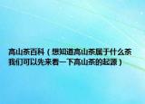高山茶百科（想知道高山茶属于什么茶 我们可以先来看一下高山茶的起源）
