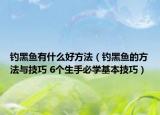 钓黑鱼有什么好方法（钓黑鱼的方法与技巧 6个生手必学基本技巧）
