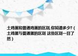 土鸡蛋和普通鸡蛋的区别,你知道多少?（土鸡蛋与普通蛋的区别 这些区别一目了然）