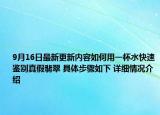 9月16日最新更新内容如何用一杯水快速鉴别真假翡翠 具体步骤如下 详细情况介绍