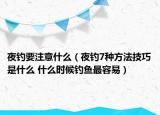 夜钓要注意什么（夜钓7种方法技巧是什么 什么时候钓鱼最容易）