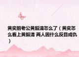 黄奕前老公黄毅清怎么了（黄奕怎么看上黄毅清 两人因什么反目成仇）