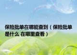 保险批单在哪能查到（保险批单是什么 在哪里查看）