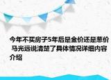 今年不买房子5年后是金价还是葱价 马光远说清楚了具体情况详细内容介绍