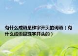 有什么成语是珠字开头的词语（有什么成语是珠字开头的）