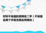 好听不易撞的男网名二字（不易撞名两个字男生网名有哪些）