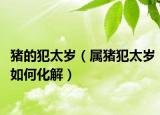 猪的犯太岁（属猪犯太岁如何化解）