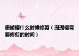 珊瑚樱什么时候修剪（珊瑚樱需要修剪的时间）