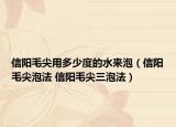 信阳毛尖用多少度的水来泡（信阳毛尖泡法 信阳毛尖三泡法）
