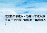 马龙县年总收入（马龙一年收入多少 从三个方面了解马龙一年的收入）