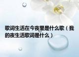 歌词生活在今夜里是什么歌（我的夜生活歌词是什么）