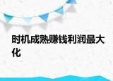时机成熟赚钱利润最大化