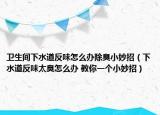 卫生间下水道反味怎么办除臭小妙招（下水道反味太臭怎么办 教你一个小妙招）