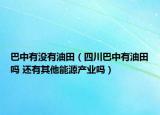 巴中有没有油田（四川巴中有油田吗 还有其他能源产业吗）