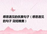 感恩遇见的优美句子（感恩遇见的句子 简短唯美）