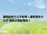 康熙的各个儿子封号（康熙有多少儿子 有多少有封号的）