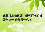 喝苏打水有坏处（喝苏打水的好处与坏处 分别是什么）