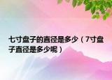 七寸盘子的直径是多少（7寸盘子直径是多少呢）