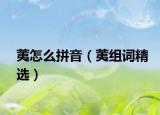 荑怎么拼音（荑组词精选）
