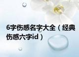 6字伤感名字大全（经典伤感六字id）