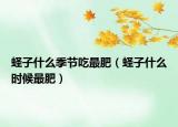蛏子什么季节吃最肥（蛏子什么时候最肥）