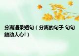 分离语录短句（分离的句子 句句触动人心!）