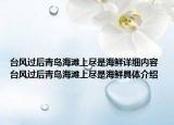 台风过后青岛海滩上尽是海鲜详细内容 台风过后青岛海滩上尽是海鲜具体介绍