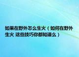 如果在野外怎么生火（如何在野外生火 这些技巧你都知道么）