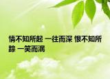 情不知所起 一往而深 恨不知所踪 一笑而泯