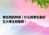 寄生树的种类（什么树寄生最好 五大寄生树推荐）