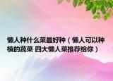 懒人种什么菜最好种（懒人可以种植的蔬菜 四大懒人菜推荐给你）