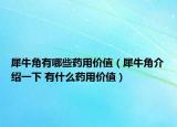 犀牛角有哪些药用价值（犀牛角介绍一下 有什么药用价值）