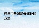 鳄鱼甲鱼汤是最滋补的方法