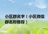小区群名字（小区微信群名称推荐）