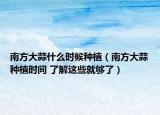 南方大蒜什么时候种植（南方大蒜种植时间 了解这些就够了）