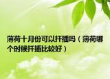 薄荷十月份可以扦插吗（薄荷哪个时候扦插比较好）