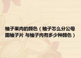 柚子果肉的颜色（柚子怎么分公母图柚子片 与柚子肉有多少种颜色）