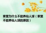 家里为什么不能养仙人球（家里不能养仙人球的原因）