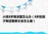小孩8岁叛逆期怎么办（8岁的孩子叛逆期家长该怎么做）